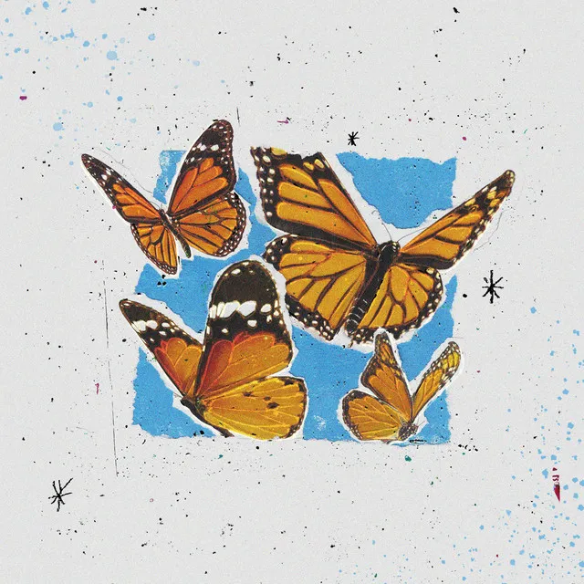 Butterflies