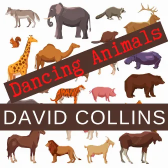 Dancing Animals by David Collins