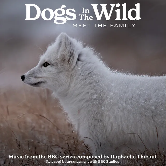 Dogs In The Wild: Meet The Family (Music from the BBC Series)