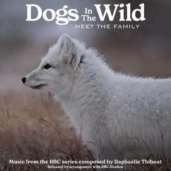 Dogs In The Wild: Meet The Family (Music from the BBC Series) by Raphaelle Thibaut