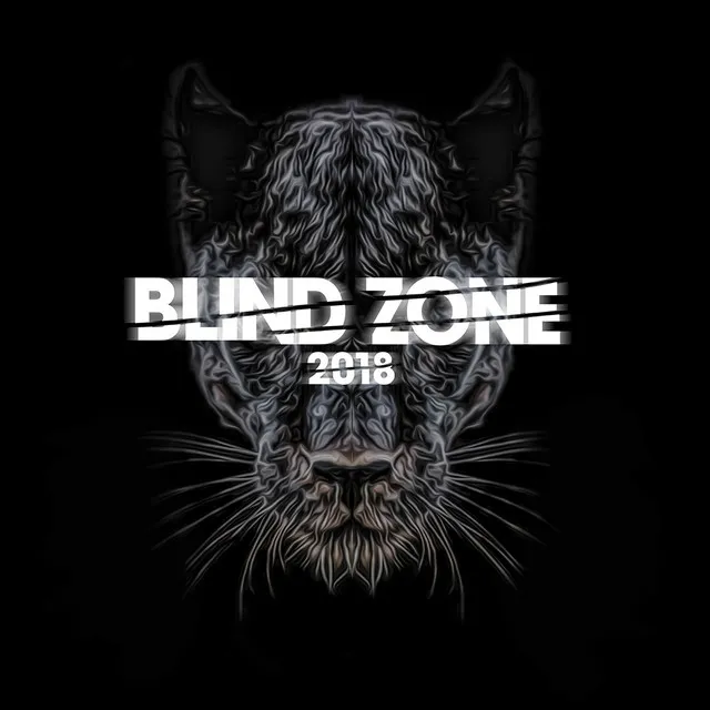 Blind Zone 2018