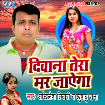 Diwana Tera Mar Jayega by Akhilesh Tiwari