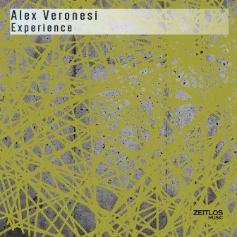 Experience by Alex Veronesi