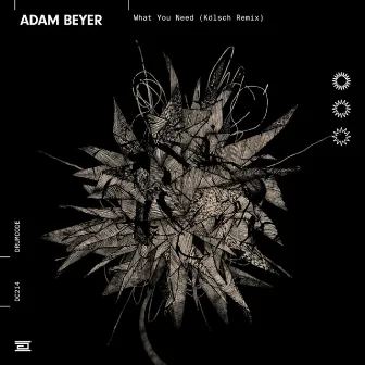 What You Need (Kölsch Remix) by Adam Beyer