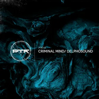 Criminal Mind by DelphoSound