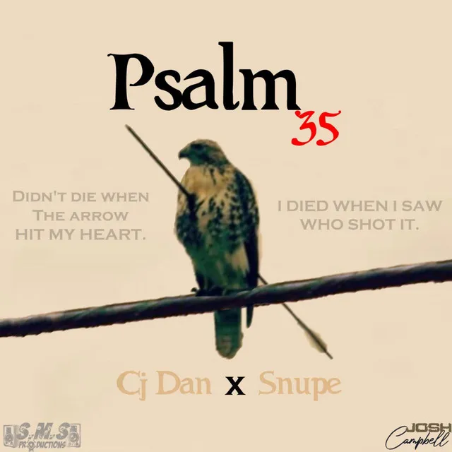 Psalm 35