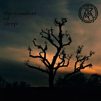 The Comfort of Sleep by Theodore Ramirez