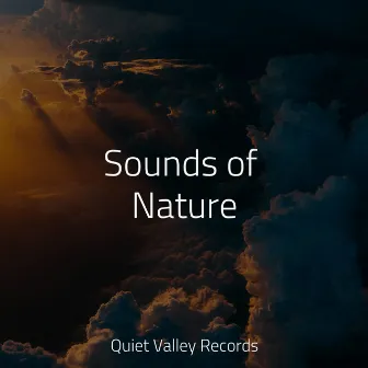 Sounds of Nature by meditacou musica ambiente