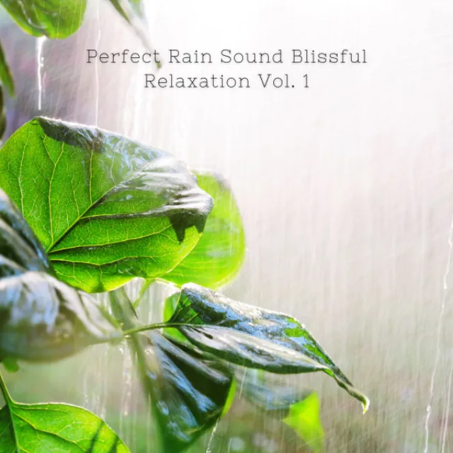 Perfect Rain Sound Blissful Relaxation Vol. 1