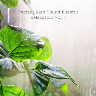 Perfect Rain Sound Blissful Relaxation Vol. 1 by Music for Plants