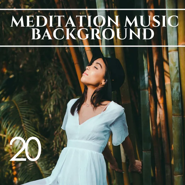 20 Meditation Music Background (Bk)