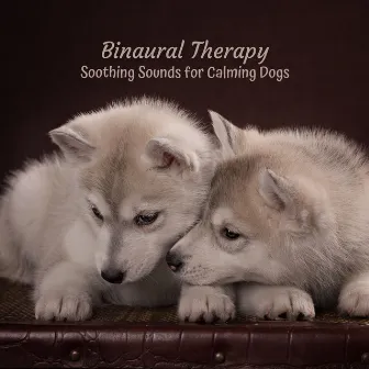 Binaural Therapy: Soothing Sounds for Calming Dogs by Soothing Air