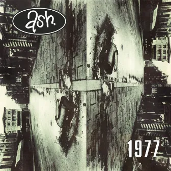 1977 (2022 Remaster) by Ash