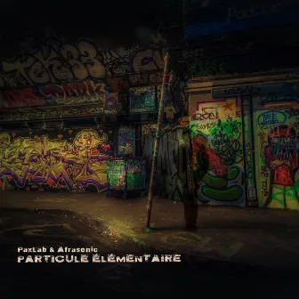 Particule élémentaire by Afrasonic