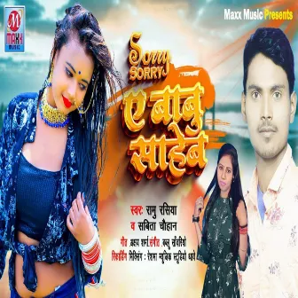 Sorry Sorry A Babu Saheb by Sabita Chauhan