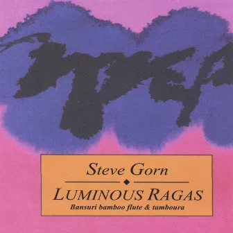 Luminous Ragas by Steve Gorn