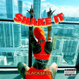 Shake it by Blackskyy