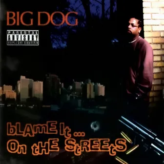 Blame It... On the Streets by Big Dog