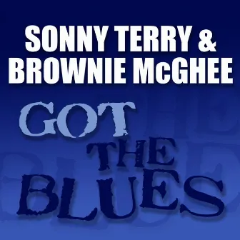 Got the Blues by Sonny Terry