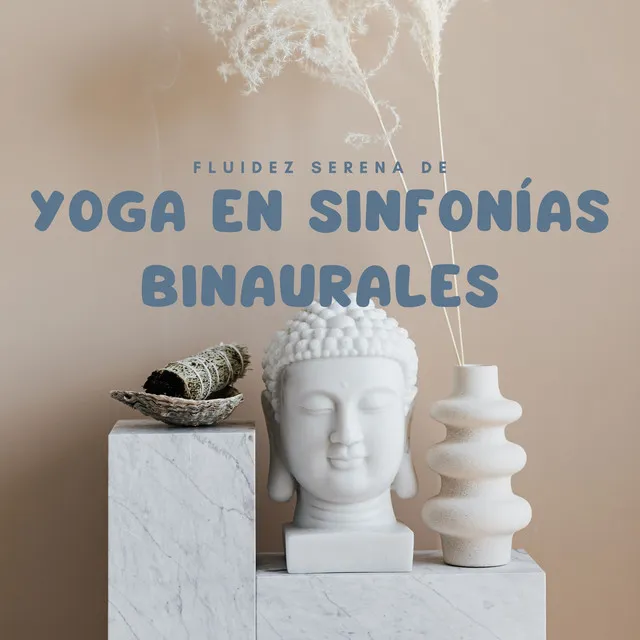 Flujo Estable De Yoga