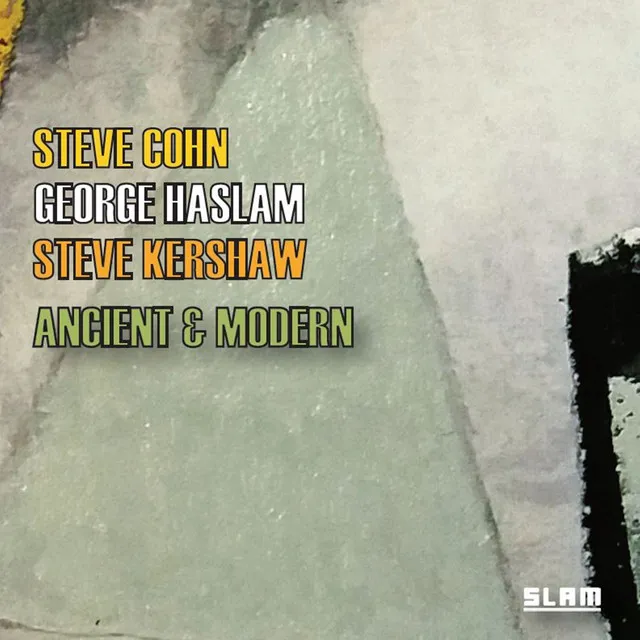 Steve Cohn