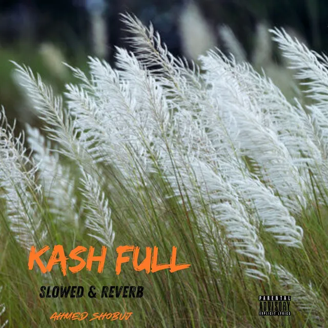 Kash Full (Slowed & Reverb)