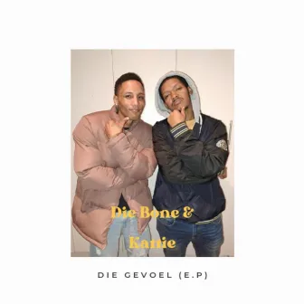 Die Gevoel by Die Bone