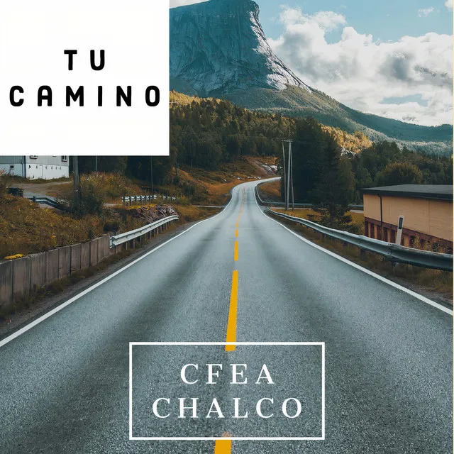 Tu camino