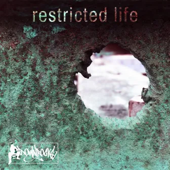 Restricted Life by Downrocks