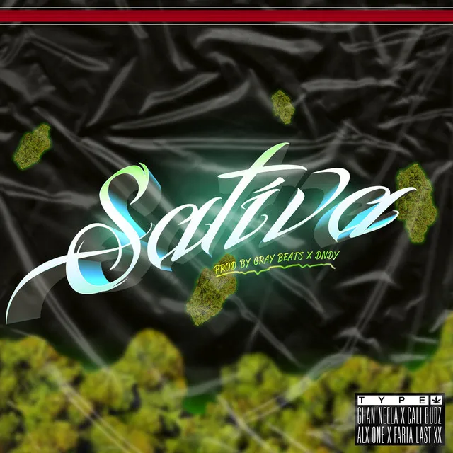 Sativa