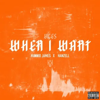 When I Want by Hunnid James