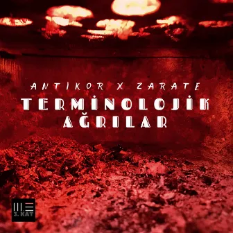 TERMİNOLOJİK AĞRILAR by Zarate