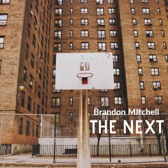 The Next by Brandon Mitchell