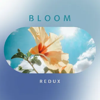 Bloom by Redux