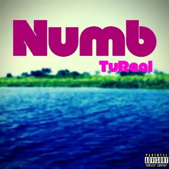 Numb by TuReal KS