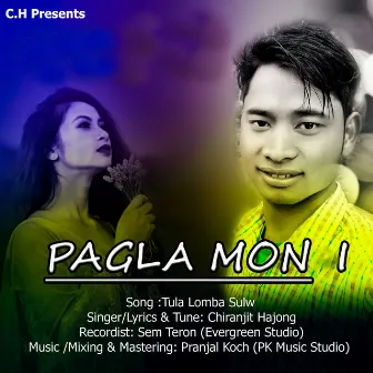 Tula Lomba Sulw (Pagla Mon 1) by Pranjal Koch