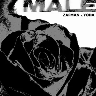 MALE by Zafman