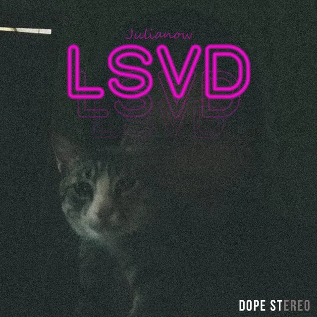 LSVD