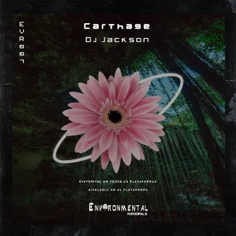 Carthage by DJ Jackson