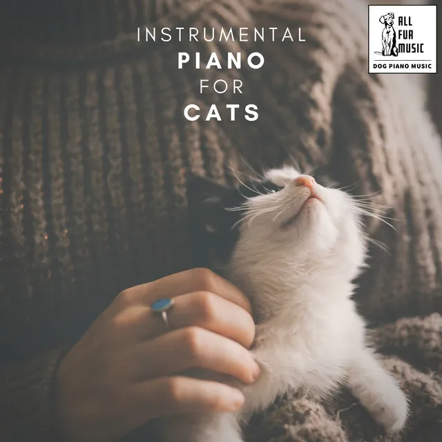 Instrumental Piano for Cats