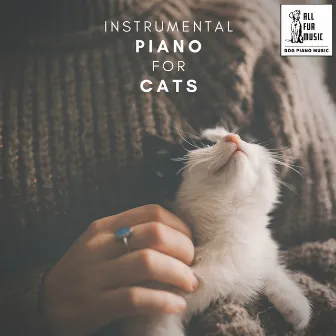 Instrumental Piano for Cats by Music For Cats To Sleep To