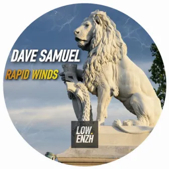 Rapid Winds by Dave Samuel