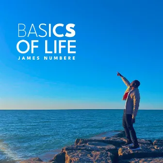 Basics of Life by James Numbere