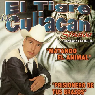 Matando El Animal by El Tigre de Culiacan