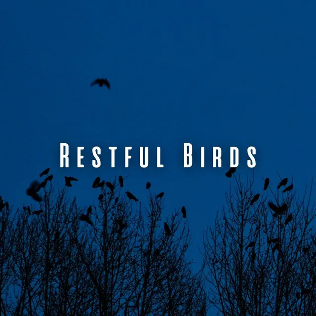 Restful Birds: Heavy Rain and Wind for Deep Sleep