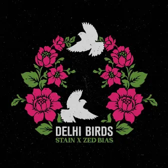 Delhi Birds by Stain