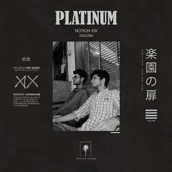 PLATINUM by Notion XIX