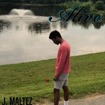 Alive by J. Maltez