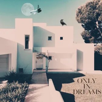 Only In Dreams by The Ruinz