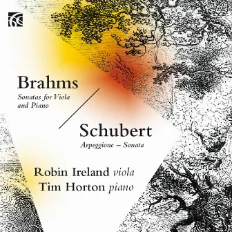 Brahms & Schubert: Music for Viola and Piano by Robin Ireland